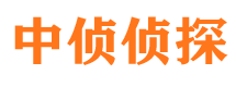 宝山侦探公司